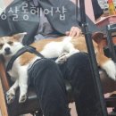 재영헤어샵