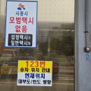 경기둘레길 안산50코스 | 경기둘레길 안산 49+50코스: 대부도 서해안 붉은 함초해변길 하얀 조가비해변길(대부동행정복지센터...