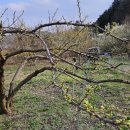 종합농장 이미지