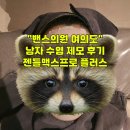 플러스덴치과의원 | [밴스의원 여의도] 내돈내산 남자수염(얼굴, 인중, 턱) 제모 후기(젠틀맥스 프로 플러스)