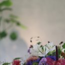 윤설당