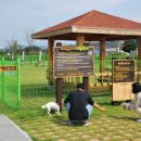 요천생태습지공원 애견놀이터 이미지