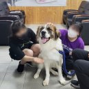 대동동물병원 이미지