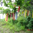 여주-1022 이미지