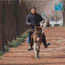 나의 단짝 반려동물 이미지