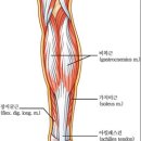 새부산병원 이미지