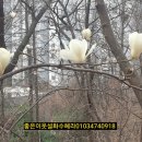 계남공원(신정산) 유아숲체험원 이미지