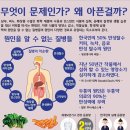 송정동-20 이미지