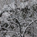 광진구청 이미지