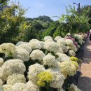 이비엘컴퍼니 이미지