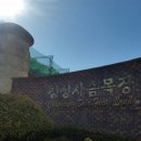 청성미락 이미지