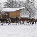 페이션츠 카카오 검색결과