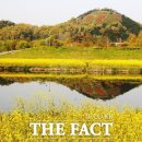 동산 더팩트