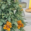 대성서적 | [일상] 좋아하는 게 있는 사람은 빛이 난다