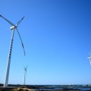 신창싱계물 이미지