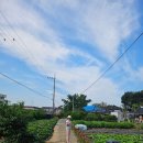 금강모텔 | 9월 아빠기일 군산방문기 익산역 추억의 장소 남산약수터 고향우렁쌈밥 우리밀 밀라노모텔 내돈내산 후기