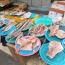 구룡포대게과메기해산물 | 포항 구룡포시장 겨울 해산물 대게 홍게 과메기 솔찍후기