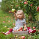 자연식품 이미지