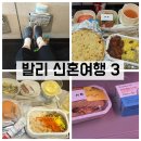 633 | 발리 신혼여행 3 ) 대한항공 KE633 탑승기 &amp; 힌두교식 기내식 후기