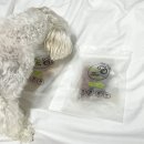 1982 PET FOOD 이미지