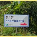 상주 "밤원 녹색농촌 체험 휴양마을" 2017년 "찿아가는작은음악회" 이미지