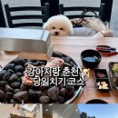 뉴효신맥반석 | 강아지 동반 춘천 당일치기 | 닭갈비 맛집 &amp; 카페 코스 추천