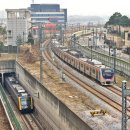 H1195 이미지