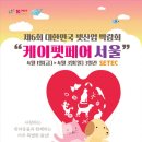 케이네트웍스 이미지