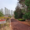 광교행운공인중개사사무소 이미지