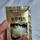 하이소주식회사 | 건강챙기기 면역력 증강엔 누에 동충하초 골드