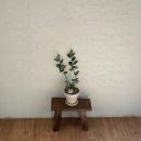 동리 | 대부도의 아늑한 '카페동리' 방문 후기