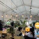 비틀주스 이미지