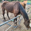 송곤목장 이미지