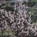식사도서관 동아리방 이미지