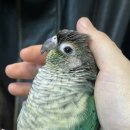 무현태권도 이미지