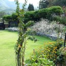 도그엔조이 이미지