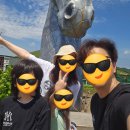 제주 새별프렌즈 후기｜아이와 가볼만한곳 추천, 알파카 먹이주기 체험까지