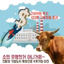 솔그린(주) 이미지