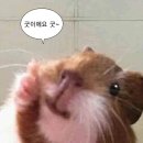 THE HONG C HOTEL Gangneung | 에겐남과 테토녀의 홍콩 1일차