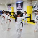 용인대 최고 태권도장 이미지