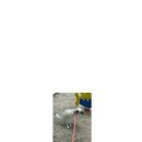 철이네 촌캉스 이미지