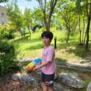 용인대새봄태권도 이미지