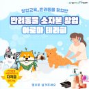 김천시 청년창업지원센터에서 반려동물 소자본 창업을 할 수 있는 아이템 이미지