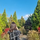대전 1일차