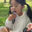 나불도 승마랜드 | [무안 가볼만한곳] 아이와 피크닉 가기 좋은 &#39;나불도 유원지 공원&#39;+미니 동물농장