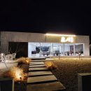 논산애견 이미지