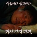 에잇드림