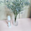 아델앤코 이미지