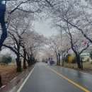 쌍계1교 이미지