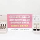 (주)더블유글로벌